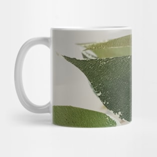 green leaves, leaf, nature, Natural, plant Mug